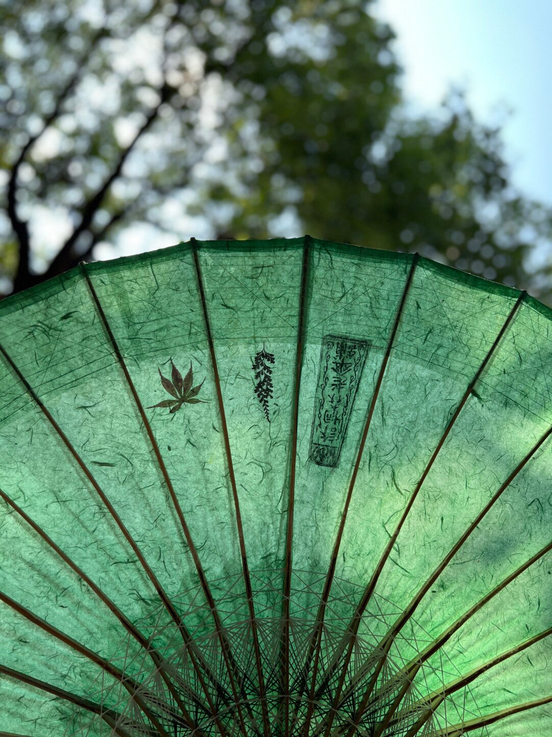 Emerald Breeze