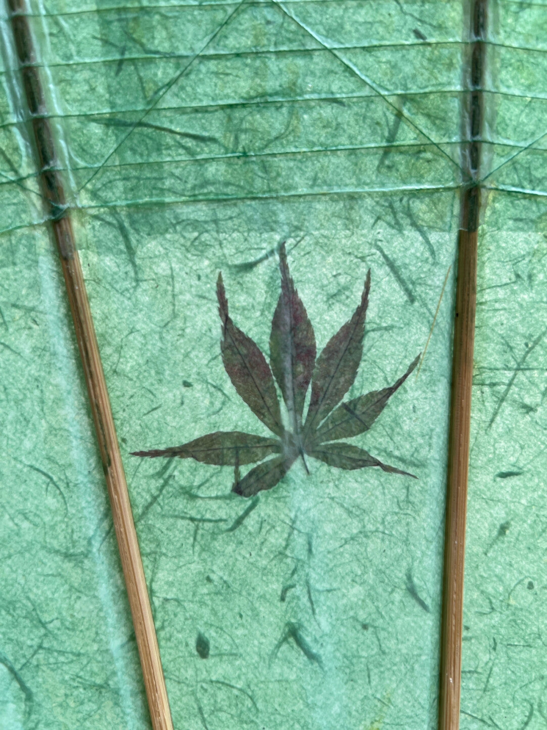 Emerald Breeze