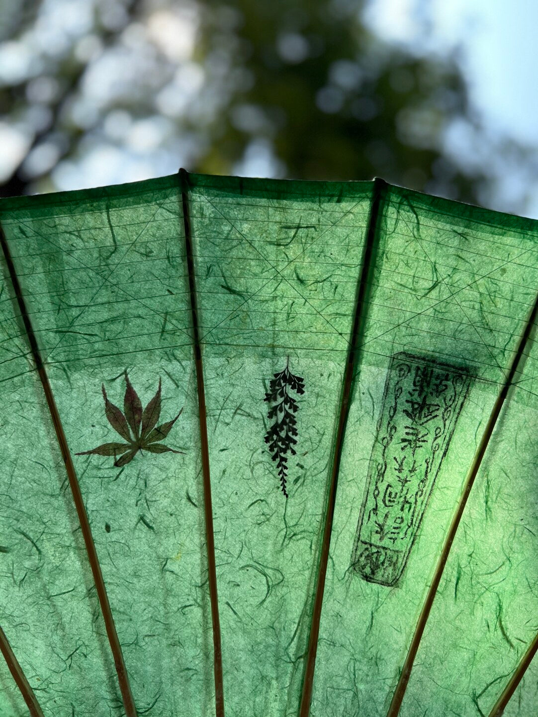 Emerald Breeze